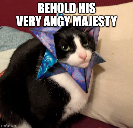 Very angy | BEHOLD HIS VERY ANGY MAJESTY | image tagged in his majesty | made w/ Imgflip meme maker