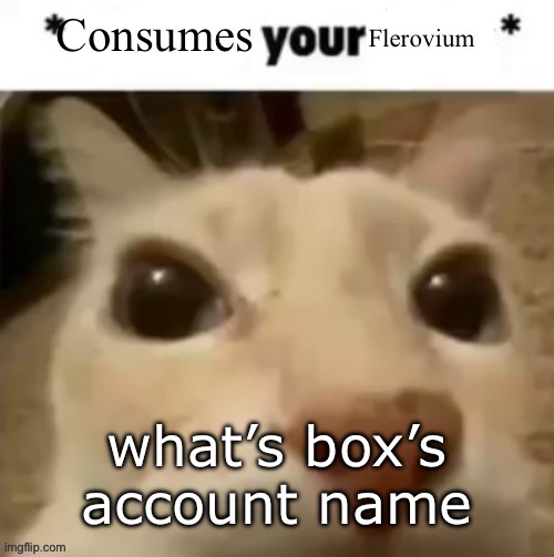 Yakko consumes your flerovium | what’s box’s account name | image tagged in yakko consumes your flerovium | made w/ Imgflip meme maker