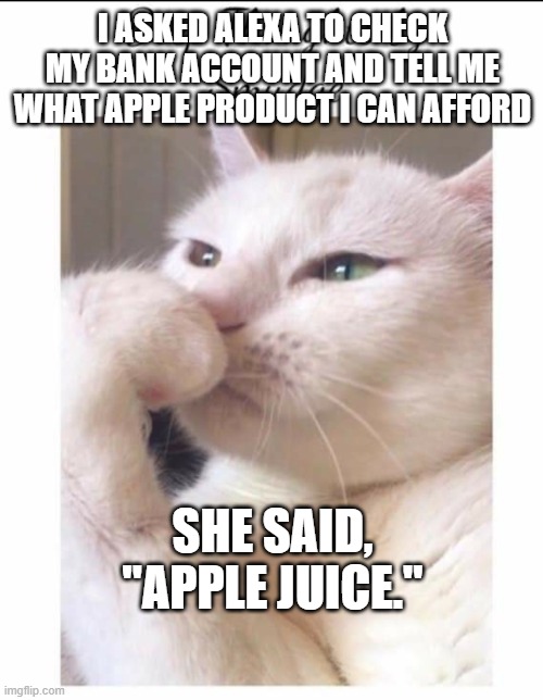 Apple products | I ASKED ALEXA TO CHECK MY BANK ACCOUNT AND TELL ME WHAT APPLE PRODUCT I CAN AFFORD; SHE SAID, "APPLE JUICE." | image tagged in smudge | made w/ Imgflip meme maker