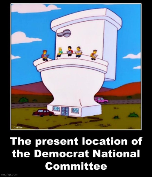 Yup. Straight down the shitter! | image tagged in democrats,dnc,democrat party,politics,republicans,trump | made w/ Imgflip meme maker