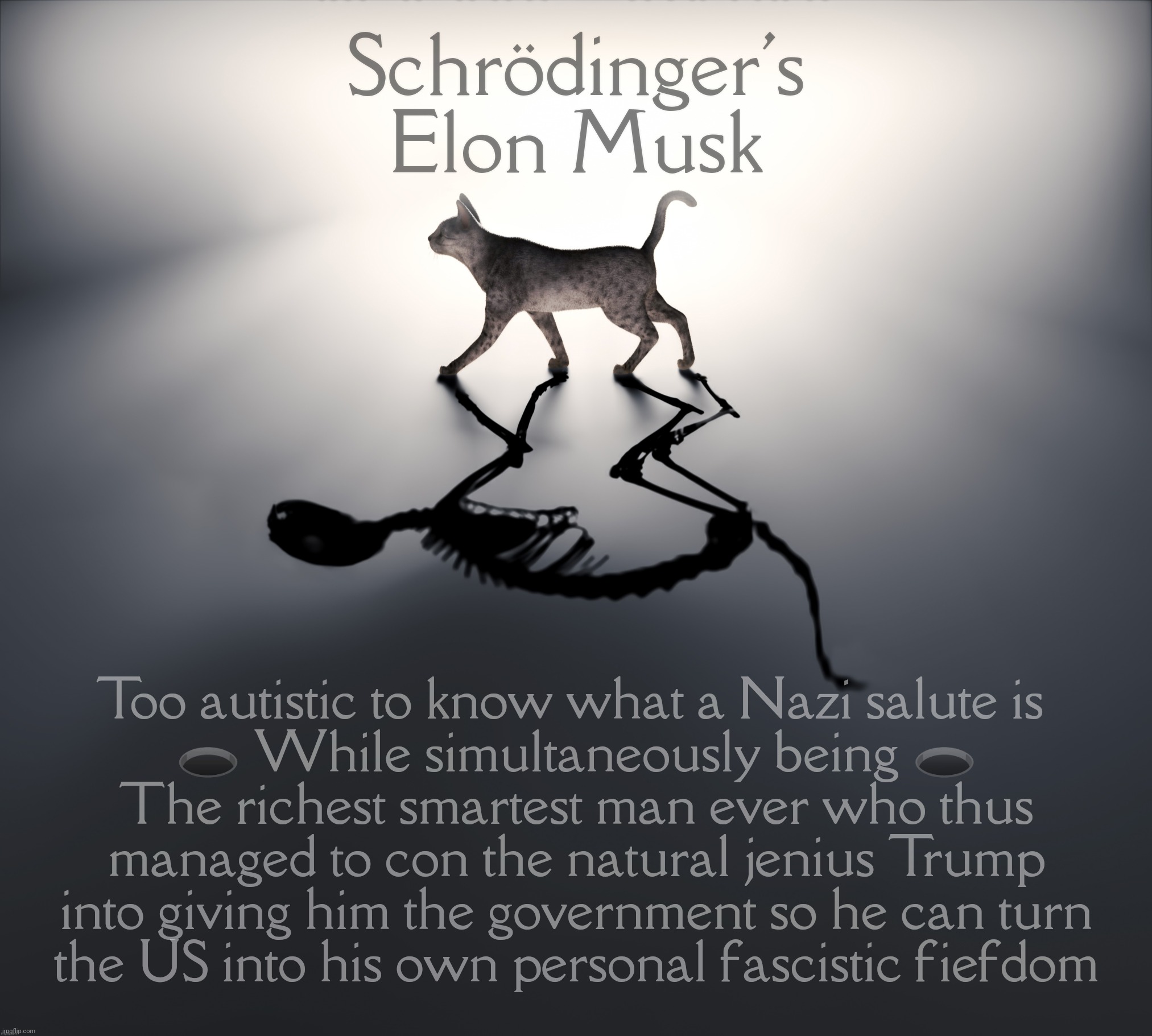 Schrödinger's Elon Musk - to see or too Nazi, that sieg heil question. Inspired by a comment from Epic_Sax_Man. Link in comments | Schrödinger's Elon Musk; Too autistic to know what a Nazi salute is 
🕳️ While simultaneously being 🕳️
The richest smartest man ever who thus
managed to con the natural jenius Trump into giving him the government so he can turn
the US into his own personal fascistic fiefdom | image tagged in schrodinger's cat,elon musk,elon musk nazi salute,walk quack duck,too autistic to nazi,inspired by a comment from epic sax man | made w/ Imgflip meme maker