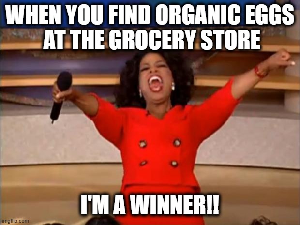 Oprah You Get A | WHEN YOU FIND ORGANIC EGGS
 AT THE GROCERY STORE; I'M A WINNER!! | image tagged in memes,oprah you get a | made w/ Imgflip meme maker