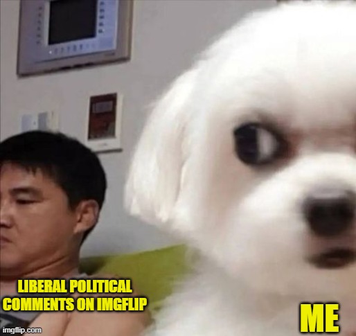 I give hard R side eye at some of these comments | ME; LIBERAL POLITICAL
COMMENTS ON IMGFLIP | image tagged in comments,political meme,liberal logic,maga,trump,trumpet | made w/ Imgflip meme maker