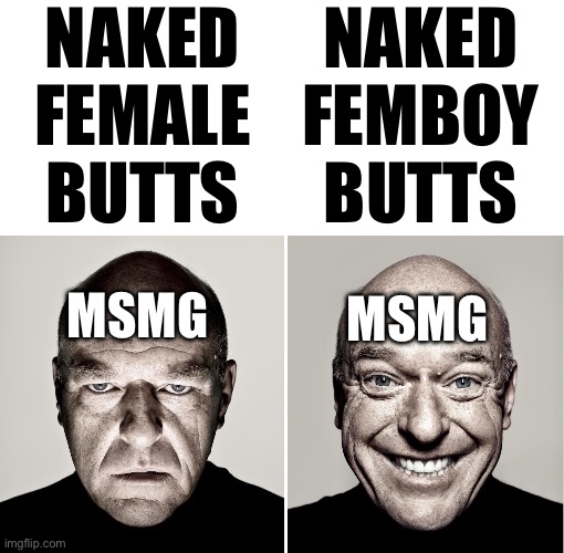 Your hypocrisy knows no bounds | NAKED
FEMALE
BUTTS; NAKED
FEMBOY
BUTTS; MSMG; MSMG | image tagged in opposite hank | made w/ Imgflip meme maker