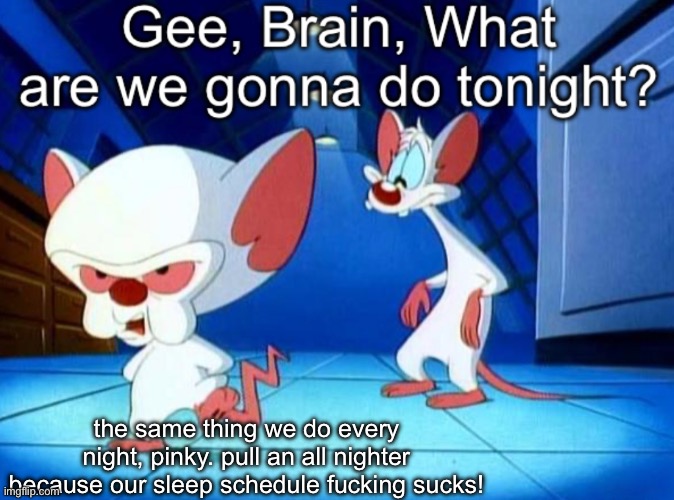 Gee brain | the same thing we do every night, pinky. pull an all nighter because our sleep schedule fucking sucks! | image tagged in gee brain | made w/ Imgflip meme maker