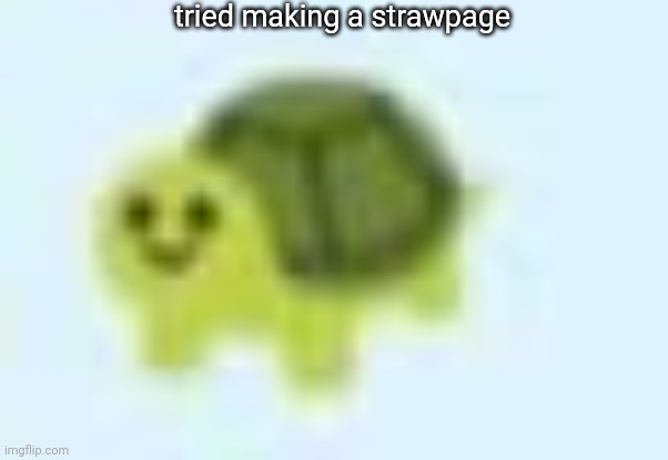 https://memerag.straw.page/ | tried making a strawpage | image tagged in low quality turtle | made w/ Imgflip meme maker