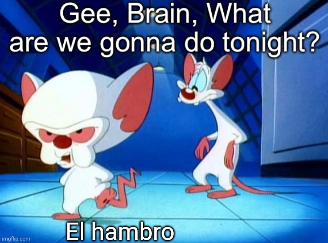 Gee brain | El hambro | image tagged in gee brain | made w/ Imgflip meme maker