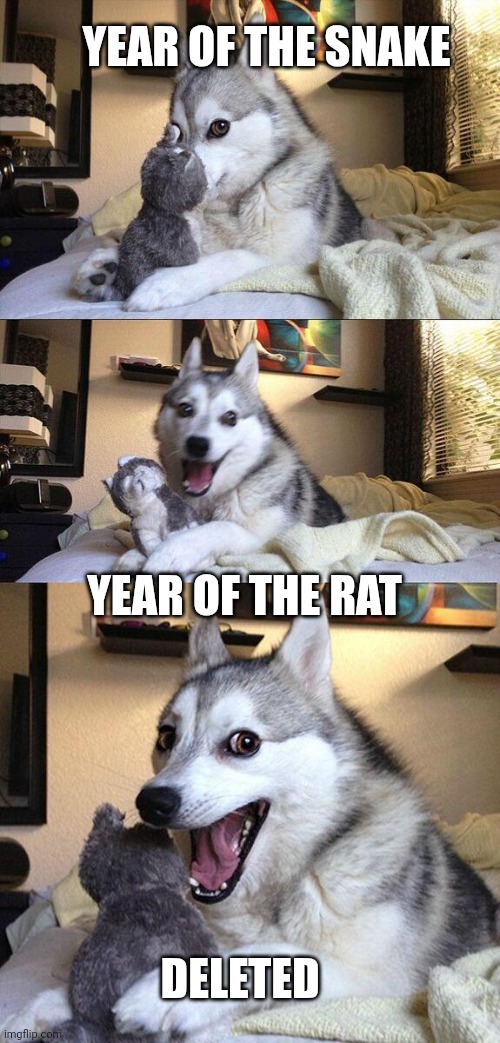 Truth Will Always Be The Defense | YEAR OF THE SNAKE; YEAR OF THE RAT; DELETED | image tagged in memes,bad pun dog | made w/ Imgflip meme maker