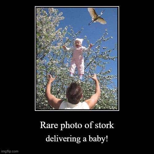 Perpetuating the myth... with pics! | Rare photo of stork | delivering a baby! | image tagged in funny,stork,delivery,baby | made w/ Imgflip demotivational maker