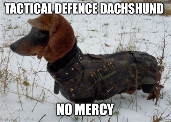 Russian dog | TACTICAL DEFENCE DACHSHUND; NO MERCY | image tagged in russian dog | made w/ Imgflip meme maker