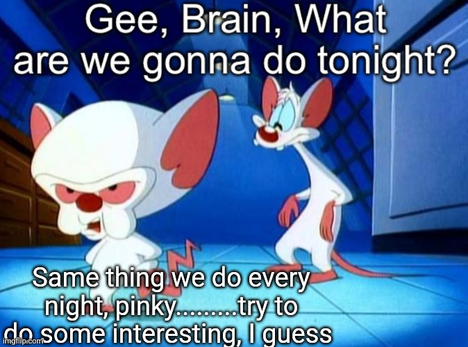 Gee brain | Same thing we do every night, pinky.........try to do some interesting, I guess | image tagged in gee brain | made w/ Imgflip meme maker