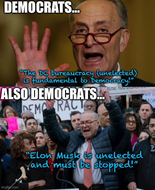 Hypocrite much? | DEMOCRATS…; “The DC bureaucracy (unelected) is fundamental to Democracy!”; ALSO DEMOCRATS…; “Elon Musk is unelected and must be stopped!” | image tagged in chuck schumer | made w/ Imgflip meme maker