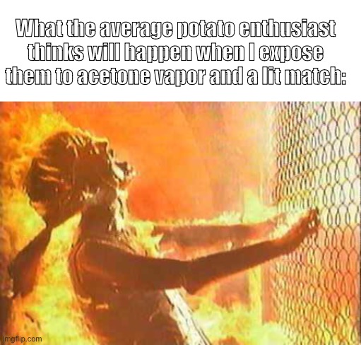 Pathetic humans, you should have chosen a flame resistant body. | What the average potato enthusiast thinks will happen when I expose them to acetone vapor and a lit match: | image tagged in blank white template,terminator nuke | made w/ Imgflip meme maker