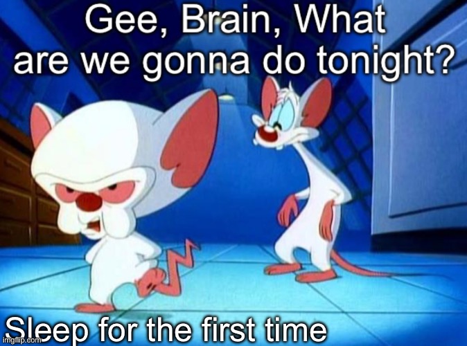 Gee brain | Sleep for the first time | image tagged in gee brain | made w/ Imgflip meme maker