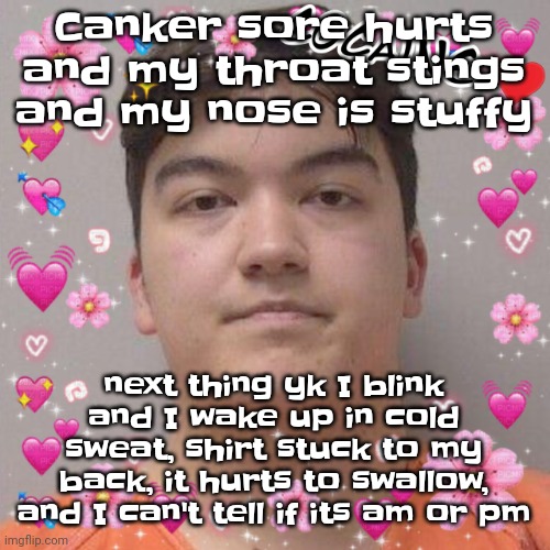 Larson | Canker sore hurts and my throat stings and my nose is stuffy; next thing yk I blink and I wake up in cold sweat, shirt stuck to my back, it hurts to swallow, and I can't tell if its am or pm | image tagged in larson | made w/ Imgflip meme maker