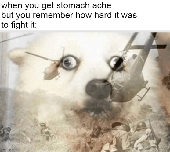 Stomach ache | when you get stomach ache
but you remember how hard it was
to fight it: | image tagged in ptsd dog,stomach,pain,relatable,funny memes | made w/ Imgflip meme maker