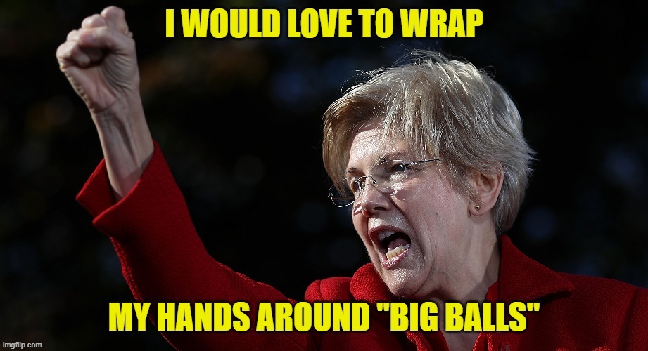 Doge "Big Balls" gets the attention of all the ladies | image tagged in elizabeth warren,doge,big balls,trump,maga,government corruption | made w/ Imgflip meme maker