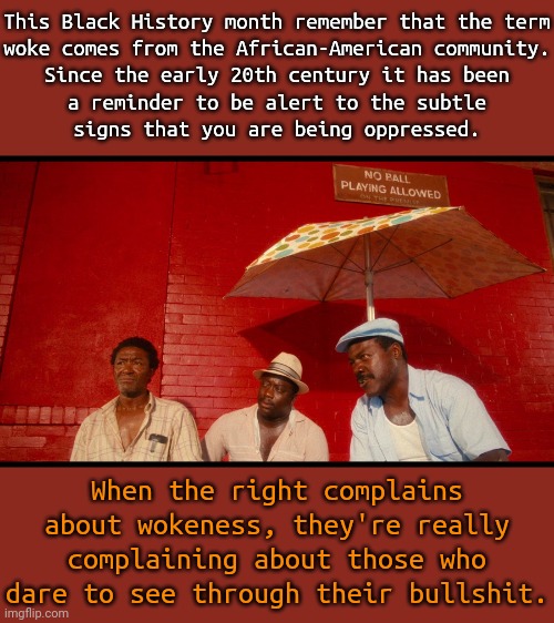 They think they're insulting us. | This Black History month remember that the term
woke comes from the African-American community.
Since the early 20th century it has been
a reminder to be alert to the subtle
signs that you are being oppressed. When the right complains about wokeness, they're really complaining about those who dare to see through their bullshit. | image tagged in do the right thing,words,resistance,progress,civil rights | made w/ Imgflip meme maker