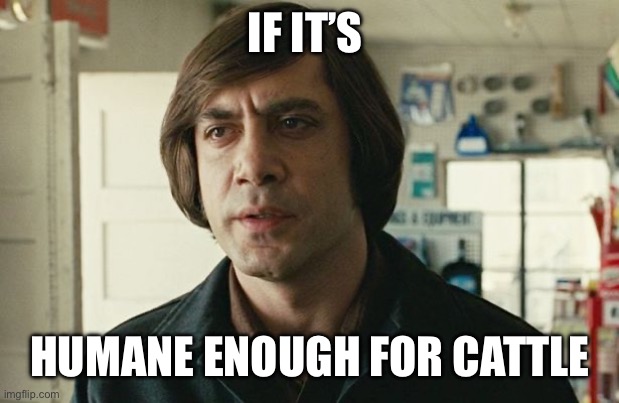 No country for old men - Anton Chigurh  | IF IT’S HUMANE ENOUGH FOR CATTLE | image tagged in no country for old men - anton chigurh | made w/ Imgflip meme maker