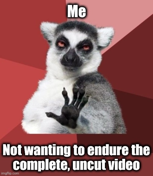 Chill Out Lemur Meme | Me Not wanting to endure the
complete, uncut video | image tagged in memes,chill out lemur | made w/ Imgflip meme maker