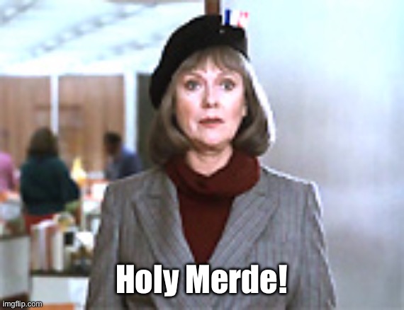 9 to 5 | Holy Merde! | image tagged in 9 to 5 roz holy merde | made w/ Imgflip meme maker