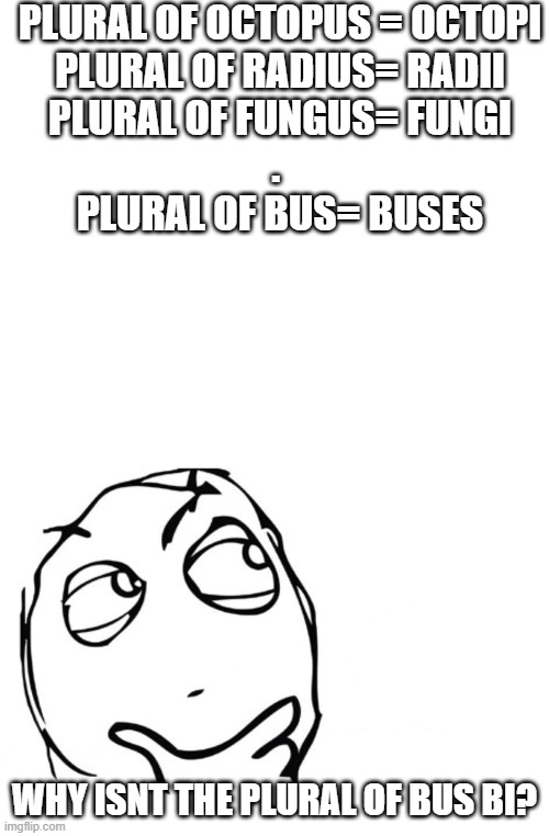 PLURAL OF OCTOPUS = OCTOPI


PLURAL OF RADIUS= RADII


PLURAL OF FUNGUS= FUNGI

. 
PLURAL OF BUS= BUSES; WHY ISNT THE PLURAL OF BUS BI? | image tagged in blank white template,hmmm | made w/ Imgflip meme maker