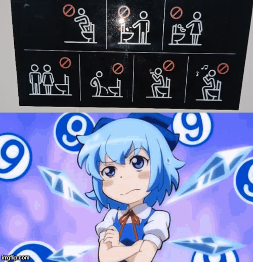 Toilet signs | image tagged in confused cirno,funny signs,toilet,hold up | made w/ Imgflip meme maker