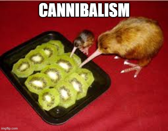 cannibalism | CANNIBALISM | image tagged in funny memes,kiwi,cannibalism,funny,relatable,stupid | made w/ Imgflip meme maker