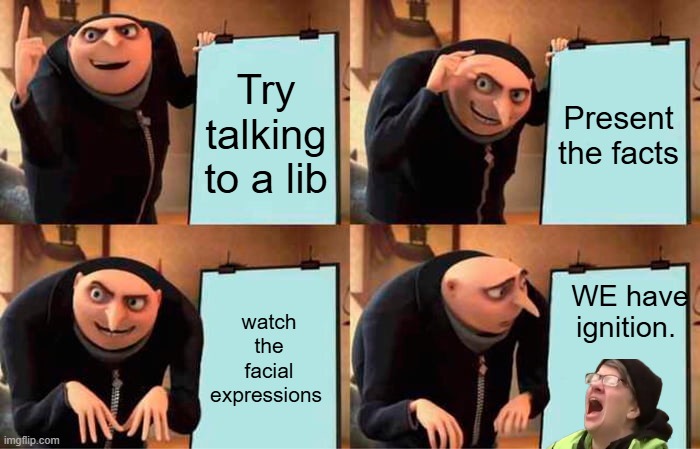 Allways the same. | Try talking to a lib; Present the facts; WE have ignition. watch the facial expressions | image tagged in memes,gru's plan | made w/ Imgflip meme maker