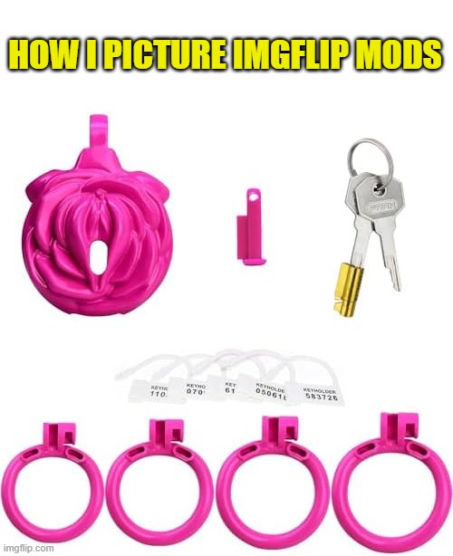HOW I PICTURE IMGFLIP MODS | made w/ Imgflip meme maker