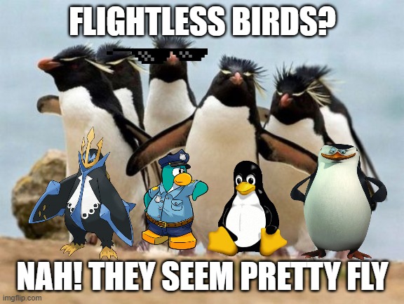 (NON) flightless birds | FLIGHTLESS BIRDS? NAH! THEY SEEM PRETTY FLY | image tagged in memes,penguin gang | made w/ Imgflip meme maker