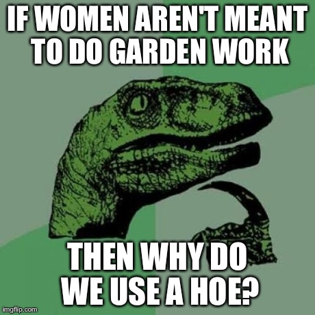 Women and gardens... | IF WOMEN AREN'T MEANT TO DO GARDEN WORK THEN WHY DO WE USE A HOE? | image tagged in philosoraptor | made w/ Imgflip meme maker