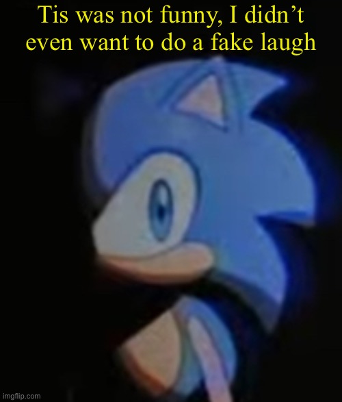 @post above and below (any speech bubbles or passing the hit down is not allowed) | Tis was not funny, I didn’t even want to do a fake laugh | image tagged in sonic side eye | made w/ Imgflip meme maker