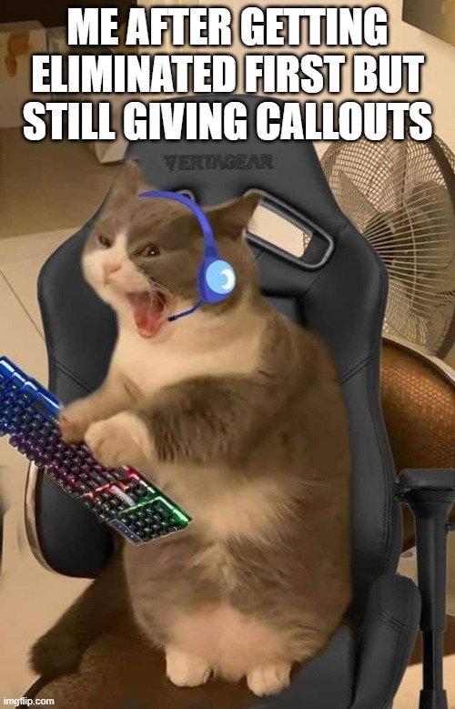 That feeling! | ME AFTER GETTING ELIMINATED FIRST BUT STILL GIVING CALLOUTS | image tagged in gaming | made w/ Imgflip meme maker
