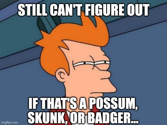 Futurama Fry Meme | STILL CAN'T FIGURE OUT IF THAT'S A POSSUM, SKUNK, OR BADGER... | image tagged in memes,futurama fry | made w/ Imgflip meme maker