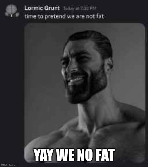 Let's pretend we are not fat | YAY WE NO FAT | image tagged in memes | made w/ Imgflip meme maker