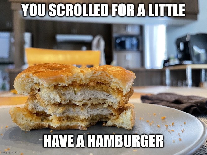 Hamburger | YOU SCROLLED FOR A LITTLE; HAVE A HAMBURGER | image tagged in hamburger | made w/ Imgflip meme maker