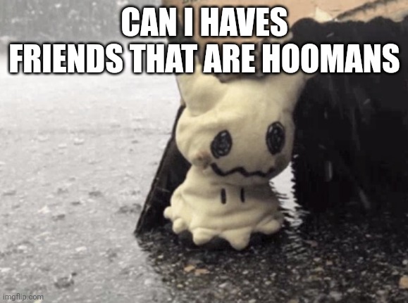 Sad Mimikyu | CAN I HAVES FRIENDS THAT ARE HOOMANS | image tagged in sad mimikyu,pokemon | made w/ Imgflip meme maker