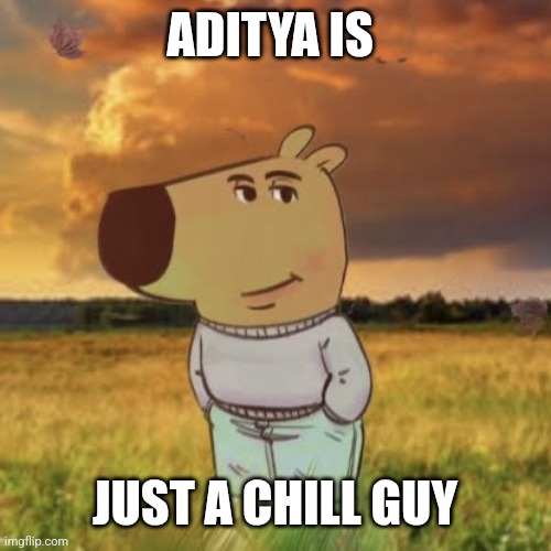 Chill guy | ADITYA IS; JUST A CHILL GUY | image tagged in chill guy | made w/ Imgflip meme maker