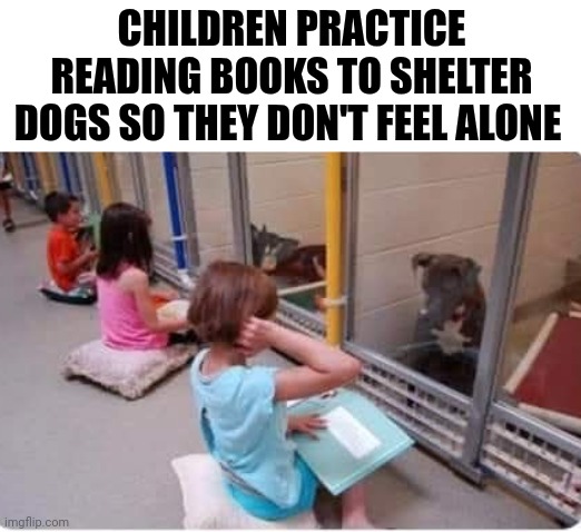 Children Practice Reading Books To Shelter Dogs So They Don't Feel Alone | CHILDREN PRACTICE READING BOOKS TO SHELTER DOGS SO THEY DON'T FEEL ALONE | image tagged in chris joines | made w/ Imgflip meme maker