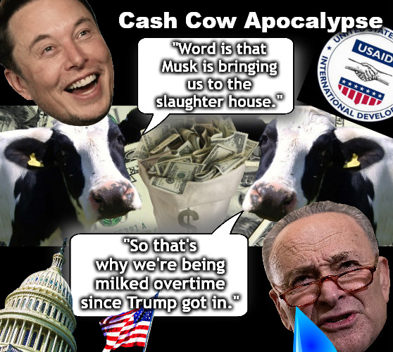 Cash Cow Heaven | Cash Cow Apocalypse; "Word is that Musk is bringing us to the slaughter house."; "So that's why we're being milked overtime since Trump got in." | image tagged in memes,politics,musk,trump | made w/ Imgflip meme maker