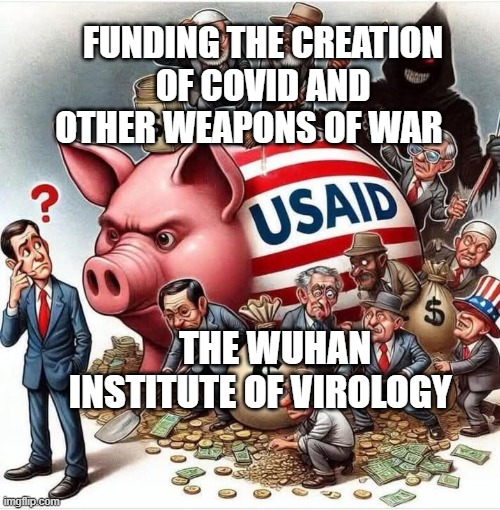 USaid piggy bank | FUNDING THE CREATION OF COVID AND OTHER WEAPONS OF WAR; THE WUHAN INSTITUTE OF VIROLOGY | image tagged in usaid piggy bank | made w/ Imgflip meme maker