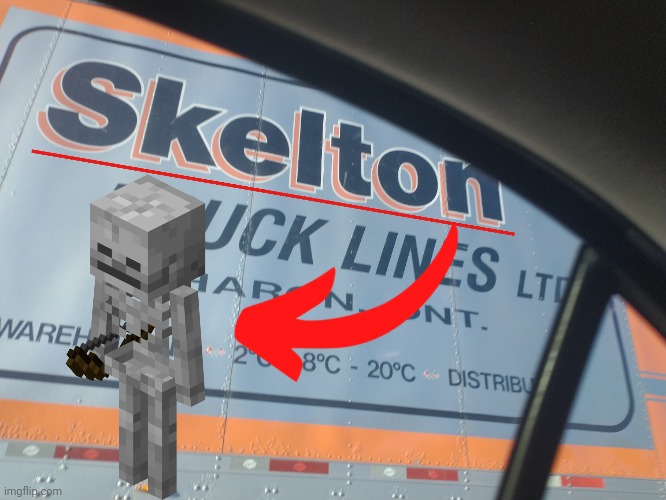 Oh yeah, I forgot to make a name soundalike for skeletons. (Made on November 7, 2024) | image tagged in skeleton,name soundalikes,memes,funny | made w/ Imgflip meme maker