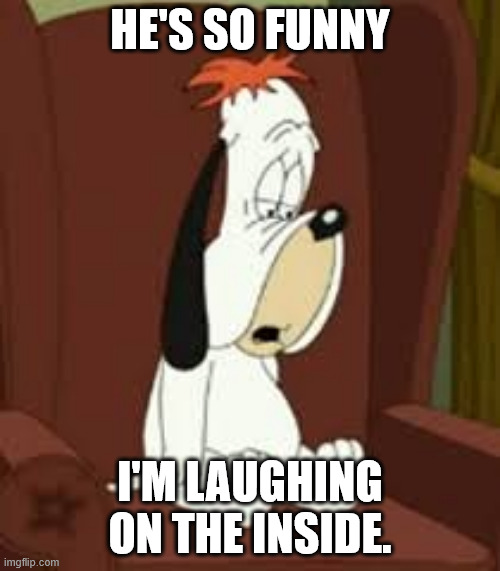 Droopy Dog | HE'S SO FUNNY; I'M LAUGHING ON THE INSIDE. | image tagged in droopy dog | made w/ Imgflip meme maker