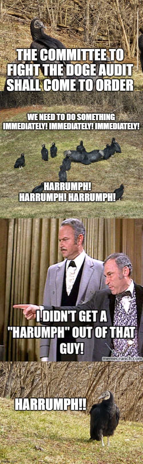 Doge harrumph | THE COMMITTEE TO FIGHT THE DOGE AUDIT SHALL COME TO ORDER; WE NEED TO DO SOMETHING IMMEDIATELY! IMMEDIATELY! IMMEDIATELY! HARRUMPH! HARRUMPH! HARRUMPH! HARRUMPH!! | made w/ Imgflip meme maker