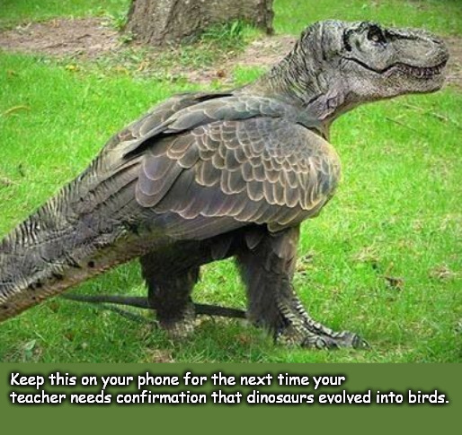 A+ Guaranteed everytime! | Keep this on your phone for the next time your teacher needs confirmation that dinosaurs evolved into birds. | image tagged in memes,middle school,birds,dinosaurs | made w/ Imgflip meme maker