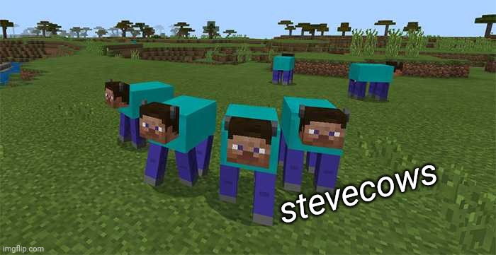 stevecows | stevecows | image tagged in me and the boys | made w/ Imgflip meme maker