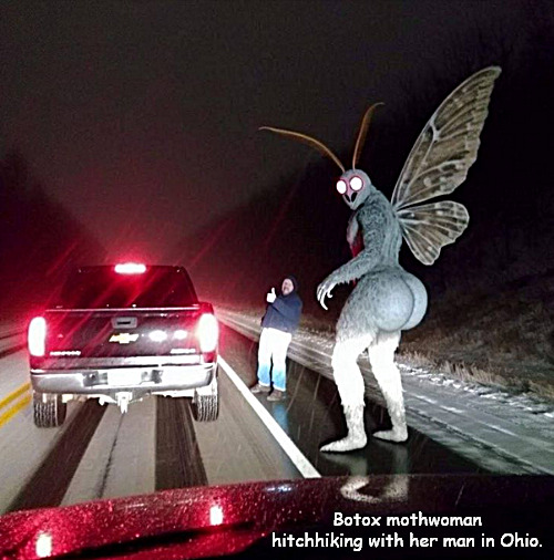 another dashcam anomaly | Botox mothwoman hitchhiking with her man in Ohio. | image tagged in memes,dark humor,mothman,botox | made w/ Imgflip meme maker