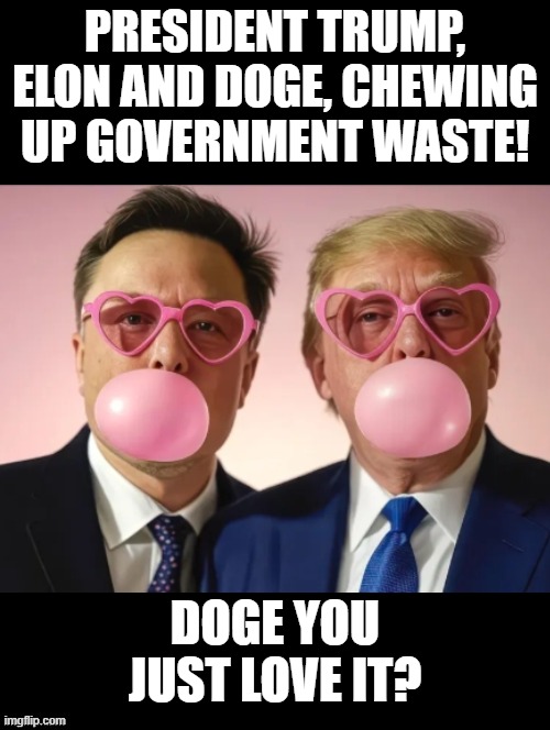 DOGE you just love it? | PRESIDENT TRUMP, ELON AND DOGE, CHEWING UP GOVERNMENT WASTE! DOGE YOU JUST LOVE IT? | image tagged in doge | made w/ Imgflip meme maker