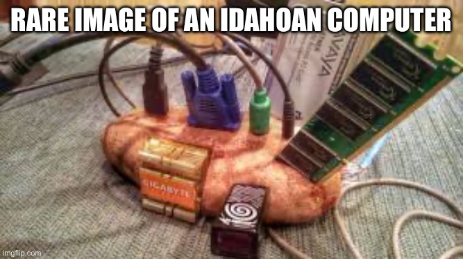 Idaho lmao | RARE IMAGE OF AN IDAHOAN COMPUTER | image tagged in potato server,potato,idaho,potato farm,technoblade,computer | made w/ Imgflip meme maker